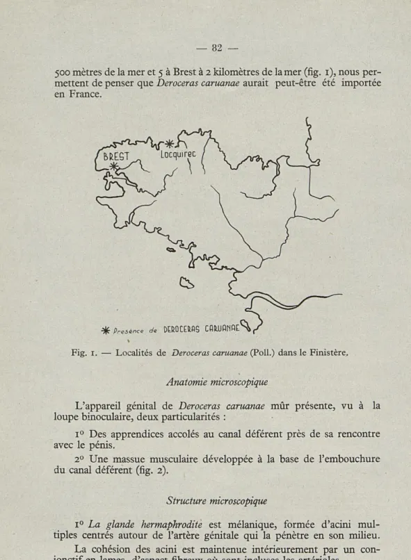 Fig.  1.  —  Localités  de  Deroceras  caruanae  (Poil.)  dans  le  Finistère,. 
