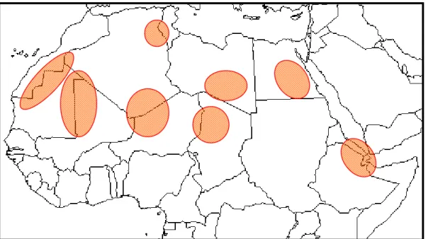Figure 3.2 : Principales régions sources d’aérosols désertiques en Afrique du Nord (d’après Prospero  et al., 2002)