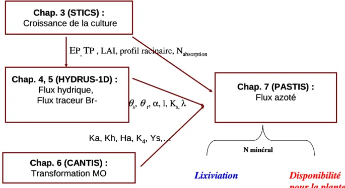 Figure 1.12 : Schéma de la démarche de modélisation adoptée dans ce travail de thèse  Disponibilité pour la planteChap