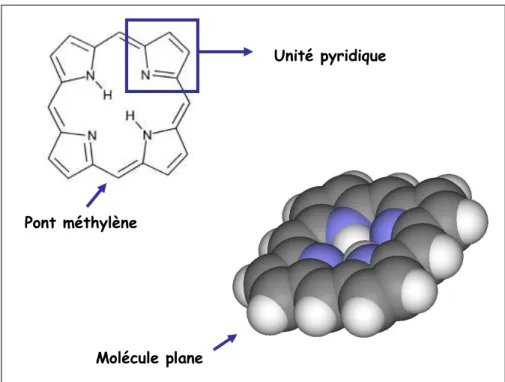 Figure  3 :  Structure  commune  de  toutes  les  porphyrines correspondant  à  un  cycle  porphyrinique  composés  de  4  unités  pyridiques  (comportant  chacune  un  atome  d’azote)  et  reliées entre elles par des ponts méthyléniques