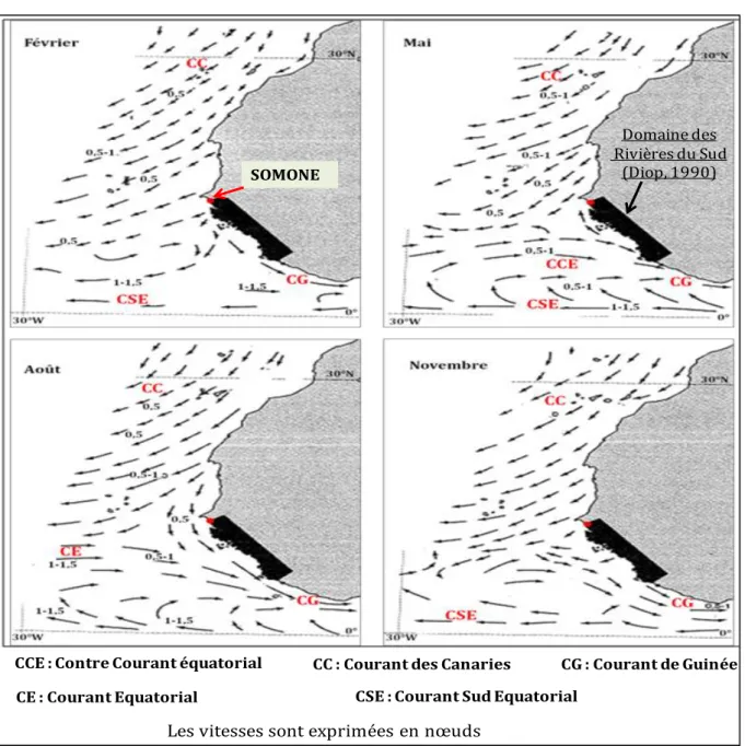 Figure 6 : Variations saisonnières des courants généraux sur le littoral ouest-africaine (d’après  SHOM, 1981, in Cormier-Salem, 1999) 