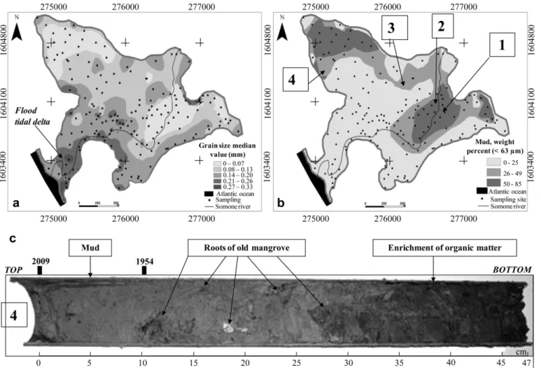Fig. 3. Spatial distribution of sediment during dry the season by grain size (left) and by weight percent (right), core-collection sites (1e4) (right), and a section of sediment core with salient characteristics (bottom), Somone estuary.