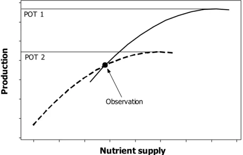 Figure  4.  Theoretical  representation  of  a  production  response  to  a  change  in  nutrient supply
