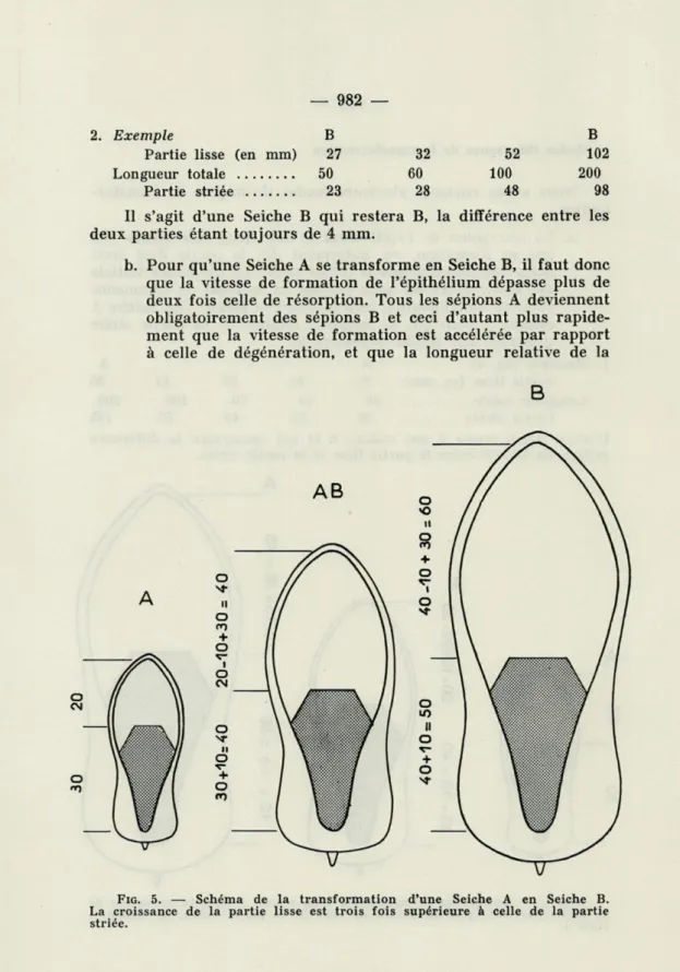 FIG.   5.  —  Schéma  de  la  transformation  d'une  Seiche A   en  Seiche B. 
