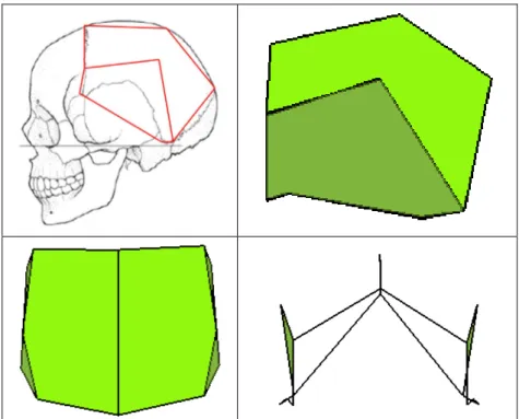 Figure 28 : Complexe Segmentaire Inter Points correspondant à la modélisation de la voûte  bipariétale avec15 points de repères craniométriques