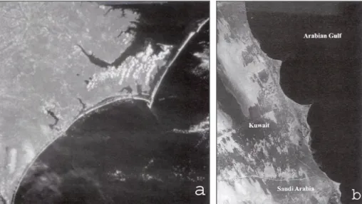 Figure 11: Photographies de &#34;Cuspate Forelands&#34; sur la côte de Caroline du Nord (a) et du Koweït (b)     (Davis &amp; FitzGerald, 2004)