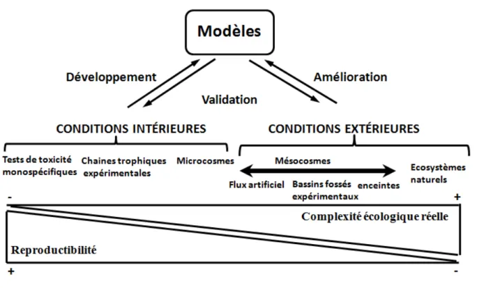 Figure  5 :  Caractéristiques  des  différentes  approches  permettant  de  prédire  les  effets  des  agents  polluants (Caquet, 2013)