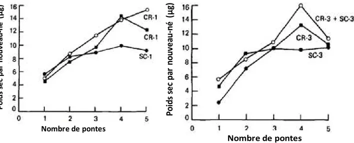 Figure 13 : Effet du mélange des deux algues sur le poids sec des jeunes daphnies   (Cowgill et al., 1985)