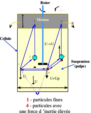 Figure 27 Schéma du principe de la flottation en cellule conventionnelle 