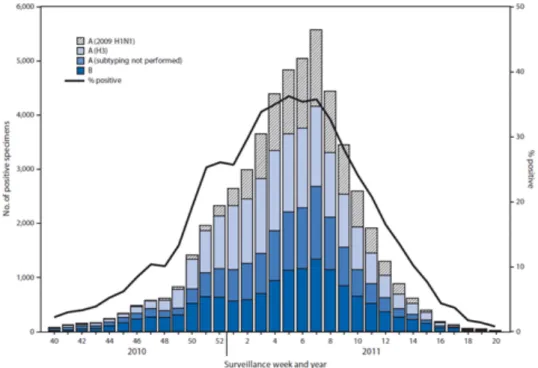 Figure  2:  Number  and  percentage  of  respiratory  specimens  testing  positive  for  influenza  in  the  year  2010/2011, by type and week