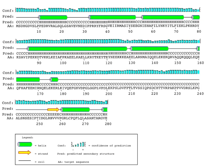Figure 8.  Protein secondary structure prediction from the PSI‐PRED server. 
