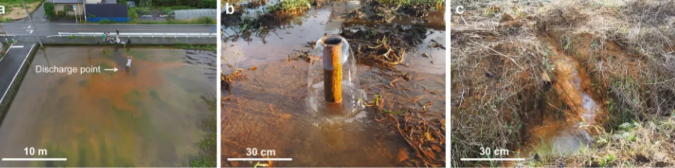 Figure 2.  Pictures of highly saline fluid discharges in the northwestern plain area. (a) A wide view and  (b) close-up picture of highly saline spring water that appeared after the 2016 Kumamoto earthquake  (corresponding to ‘a’, high saline fluid after t
