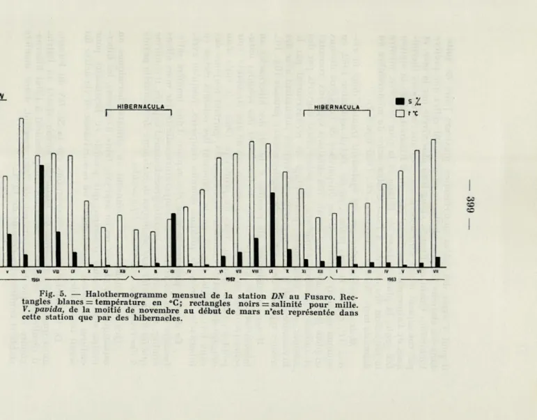 Fig.  5.  —  Halothermogramme  mensuel  de  la  station  DN  au  Fusaro  Rec- Rec-tangles  blancs = température  en  »C;  recRec-tangles  noirs =  salinité  pour  mille  V
