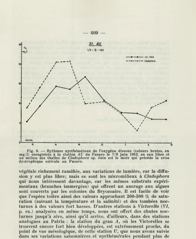 Fig.  8.  —  Rythmes  nycthéméraux  de  l'oxygène  dissous  (valeurs  brutes,  en  mg/1)  enregistrés  à  la  station  AU  du  Fusaro  le  7/8  juin  1963,  en  eau  libre  et  au  milieu  des  thalles  de  Ctadophora  sp