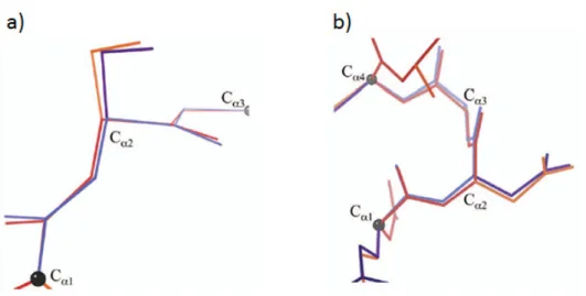 Fig 1-4 Two examples of local backbone motions (adapted from [39] ): a) The Backrub motion involves a rotation of  the central  ! !  with respect to  the axis defined by its two neighboring  ! !  atoms