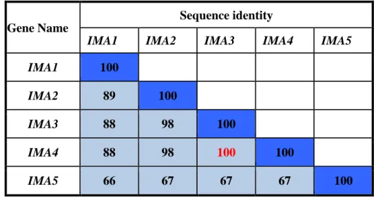 Table 2. 4 Pairwise analysis of the five IMA genes. 