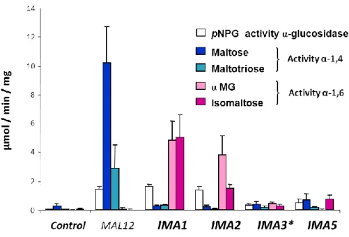 Figure 2. 8 Biochemical activities on α-1,6- and α-1,4-glucosidic substrates.  