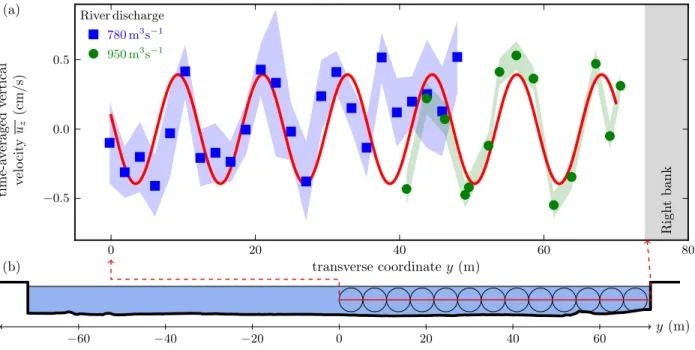 FIG. 4. (a) Time-averaged vertical velocity u z in a transect, at half the flow depth
