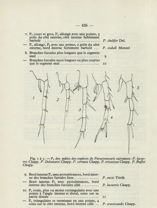 Fig.  1  à  5.  —P 4   des  mâles  des  espèces  de  Parastenocaris  suivantes:  P.  lacus- lacus-tris  Chapp