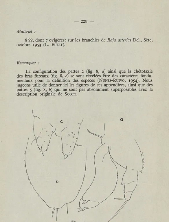 Fig.  8. — Eudactylina  similis  T.  Scott. — a,  P2.—  è,  P5; — c,  bras  furcaux. 
