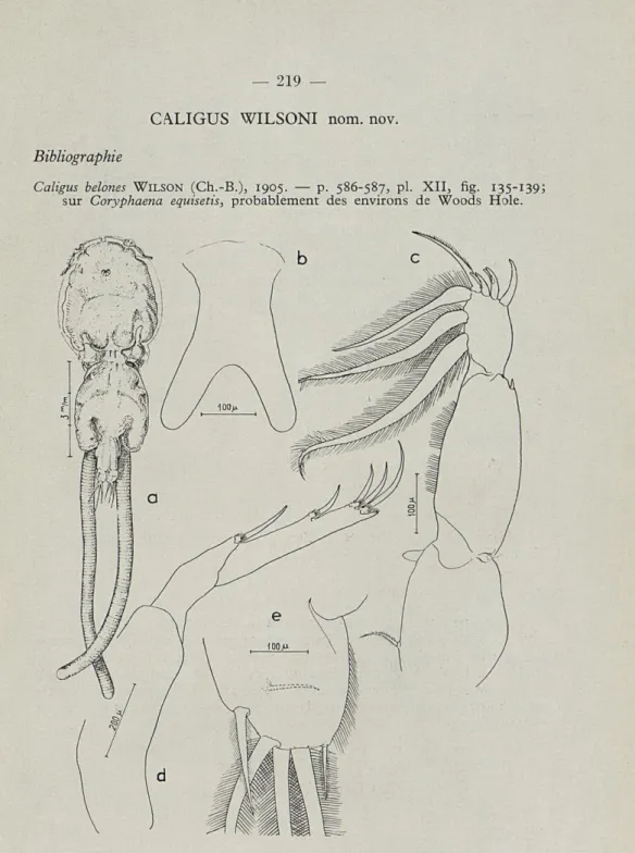 Fig.  3.  —■  Caligus  belones  Krôyer.  —  a,  habitus  de  la  femelle.  —  b,  furca  sternalis;  —  c,  Pi