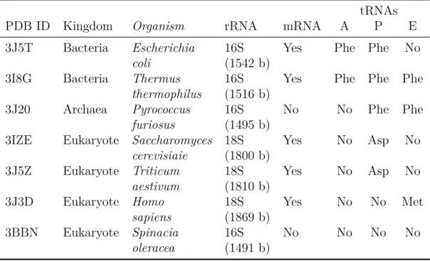 Table 3.1: X circular code motifs studied in seven crystallographic structures of the Protein Data Bank PDB ( www.rcsb.org/pdb )