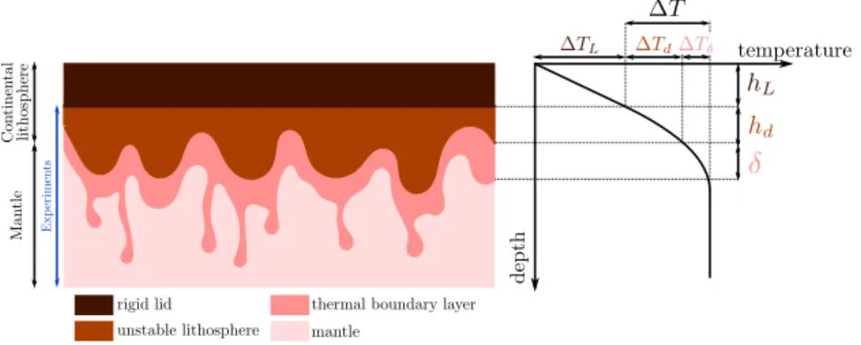Figure 19. The two types of convection that occur in the experiments. The unstable lithosphere in light brown has a contorted base, with small-scale convection in dark pink still present in the asthenosphere  be-low (light pink)