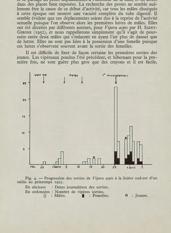 Fig.  4.  —  Progression  des  sorties  de  Vipera  aspis  à  la  lisière  sud-est  d'un  taillis  au  printemps  1955