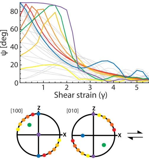 Figure 10. Simple shear simulations generated using the D-Rex model (M* 5 10) for a range of initial orientations