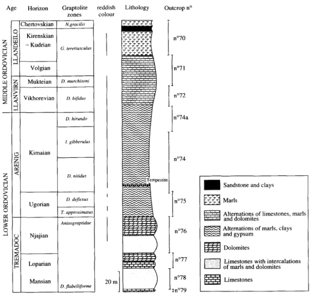 Figure 2.  Simplified stratigraphy of  the  different outcrops  that  provided  reliable palaeomagnetic  and magnetostratigraphic  results (more detailed  information can be found in  Mjagkova  et  al