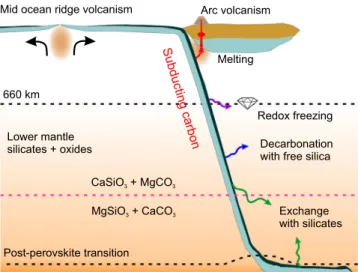 Fig. 4 Schematic illustration of the fate of carbonates in the oceanic crust (dark blue) subducted to the lower mantle