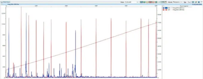 Figure II-6. Example T-RFLP electropherogram as visualised using PeakScanner  software showing sample peaks (blue) and size marker peaks (red)