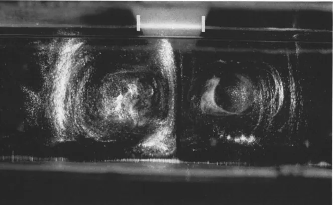Figure 4b.  Streak  photograph  of a similar  experiment  (Ra -  9.6 T0*; a/d-  1/2) showing  a  well-developed  cellular structure of aspect ratio T beneath the lid