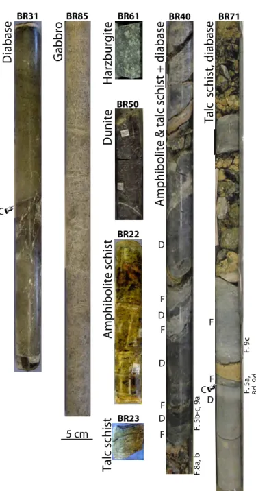 Figure 4. Images of selected rock cores. BR31: Undeformed diabase with chilled margin (C) recovered along the detachment surface