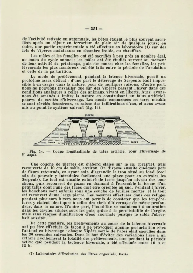 Fig.  14.   —   Coupe  longitudinale  de  talus  artificiel  pour  l'hivernage  de  V