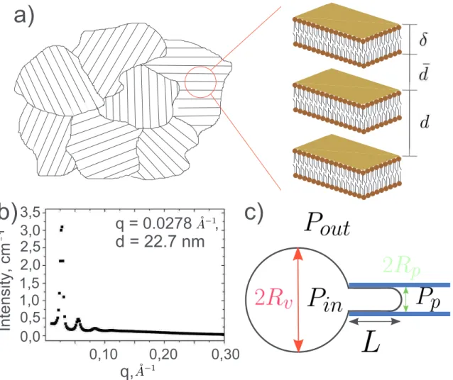 Figure 1.4: Schematic representations of X-Ray (panels (a) and (b)) and micropipette (panel (c)) experiments