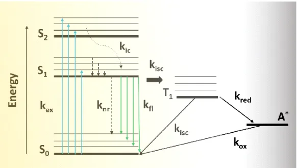 Figure  1.7.23.  Energy  level  diagram  of  the  photoswitching  process.  The  fluorescent  molecule  is  excited from the ground (S 0 ) to the excited single states (S 1 , S 2 ) with k ex  rate