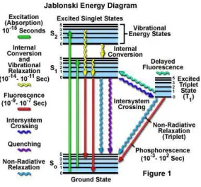 Figure 3: Fluorescence Mechanisms Jablonski energy diagram portraying mechanisms of fluorescence excitation and emission [www.olympusfluoview.com]