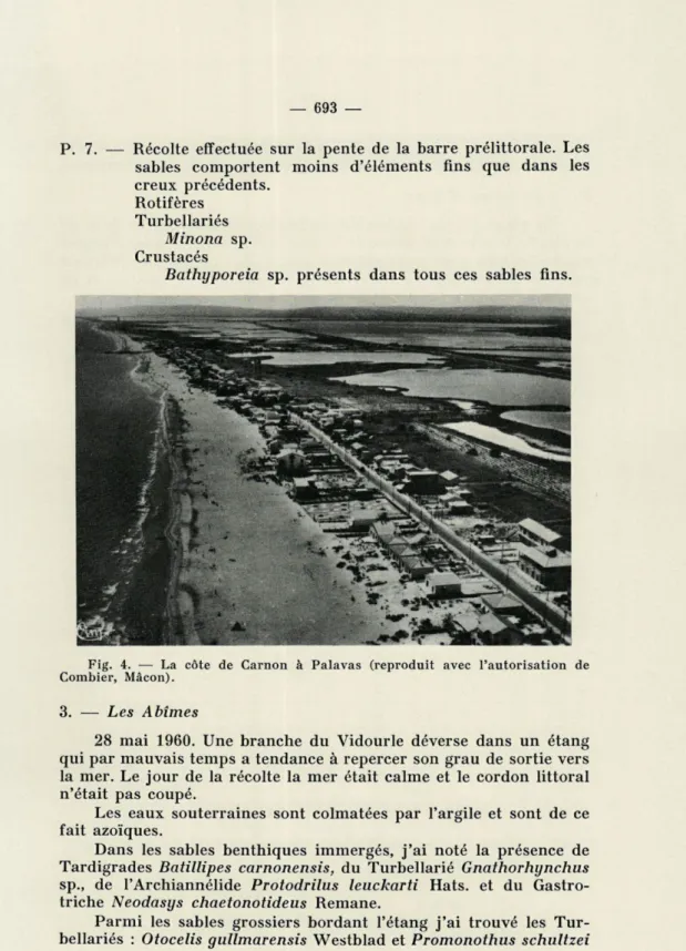 Fig.  4.  —  La  côte  de  Carnon  à  Palavas  (reproduit  avec  l'autorisation  de  Combier,  Màcon)