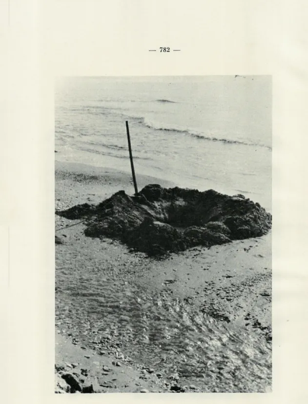 FiG.  6.  —  Neptun,  sondage  92.  Au  premier  plan  :  branche  du  canal  d'écou- d'écou-lement  du  lac  Tatlageac