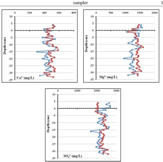 Figure 8. Vertical model profiles of M g 2+ , Ca 2+ and SO 2− 4 and experimental values in the sediment porewaters of the Somone mudflats; blue-diamond curves correspond to experimental data obtained after 11 days, red-square curves are the results of the 