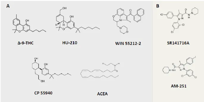FIGURE 4 – CHEMICAL STRUCTURES OF EXOGENOUS NATURAL AND SYNTHETIC MOLECULES THAT BIND TO THE  CANNABINOID RECEPTORS 