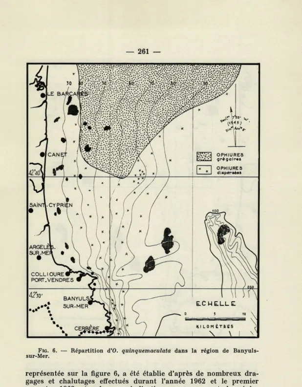 FIG.   6.  —  Répartition  d'O.  quinquemaculata  dans  la  région  de  Banyuls- Banyuls-sur-Mer
