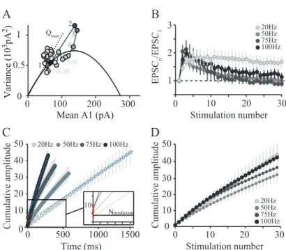 Figure 6. Sustained GC–PC synaptic transmission during trains of stimuli. A , Variance–mean analysis at each stimulus number in 100 Hz trains (numbers identify stimulus number) superimposed on the initial parabola having an initial slope of Q5 10.8 pA and 