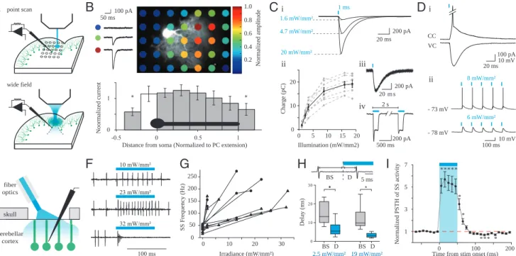 Fig. 2. Electrophysiological characterization of L7-ChR2(H134R)-eYFP mice in vitro and in vivo