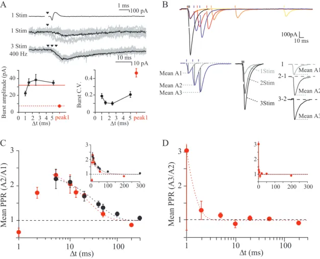 Figure 3. High fidelity of synaptic transmission during high-frequency bursts. A , Increased reliability of GC–PC transmission during high-frequency bursts of stimuli