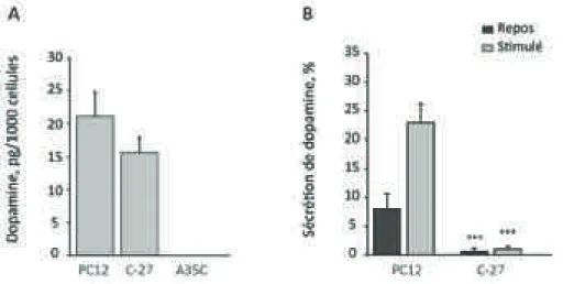 FIGURE 15. Caractérisation du profil sécrétoire des cellules PC12, C-27 et A35C. (A) Concentration  de  dopamine  totale  en  pg/1000  cellules  (B)  Sécrétion  de  dopamine,  au  repos  et  après  stimulation  avec une solution dépolarisante contenant 59m