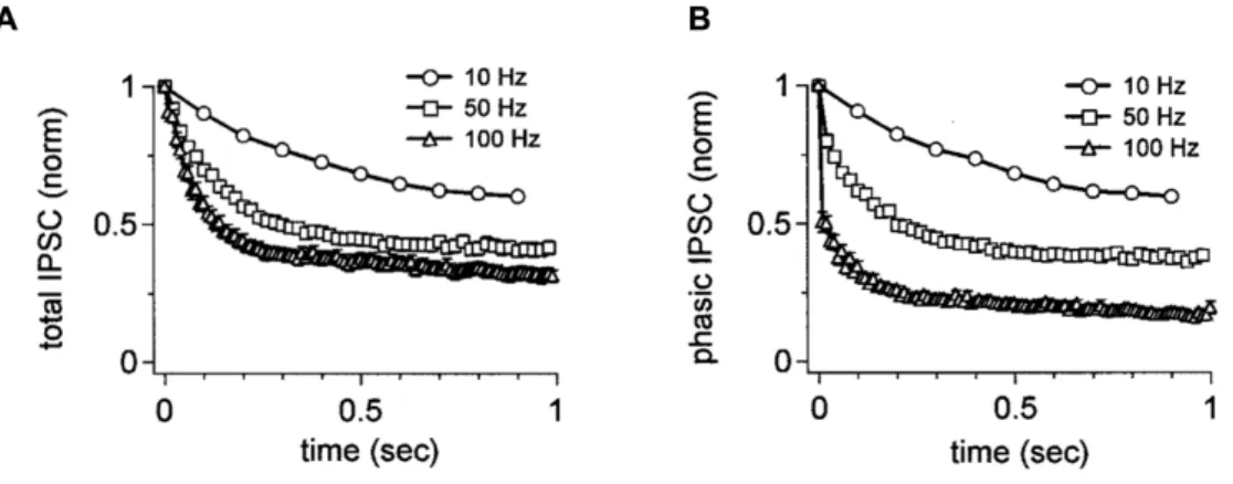 Figure 12: Short-term depression characteristics of PC to the DCN cell connection. (A) Total  IPSC was reduced in fixed frequency inputs and (B) for 100 Hz input phasic component was strongly  depressed very quickly (adapted from Telgkamp and Raman, 2002) 