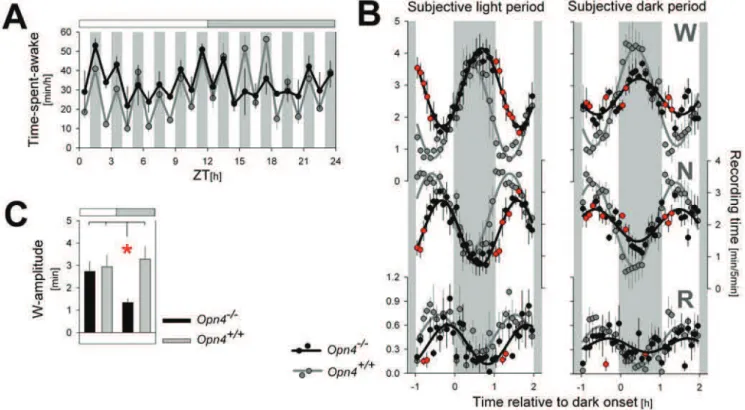 Figure 2B). Changes in the time course observed in Figure 2B were summarized by estimating the amplitude of sine waves of best