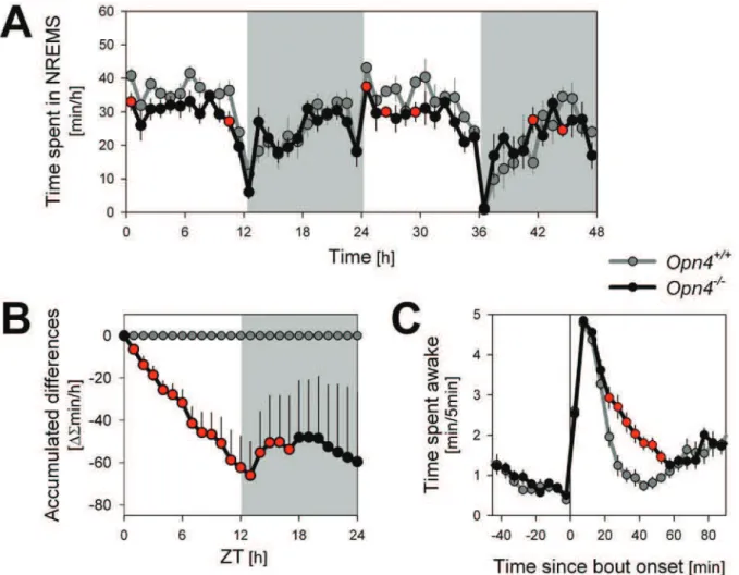Figure 5. Time course of NREM sleep time and wake distribution under a standard LD 12:12 schedule